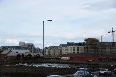 DSC_7310 (Large).JPG